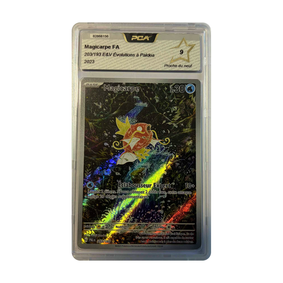 Magicarpe 203 PCA 9